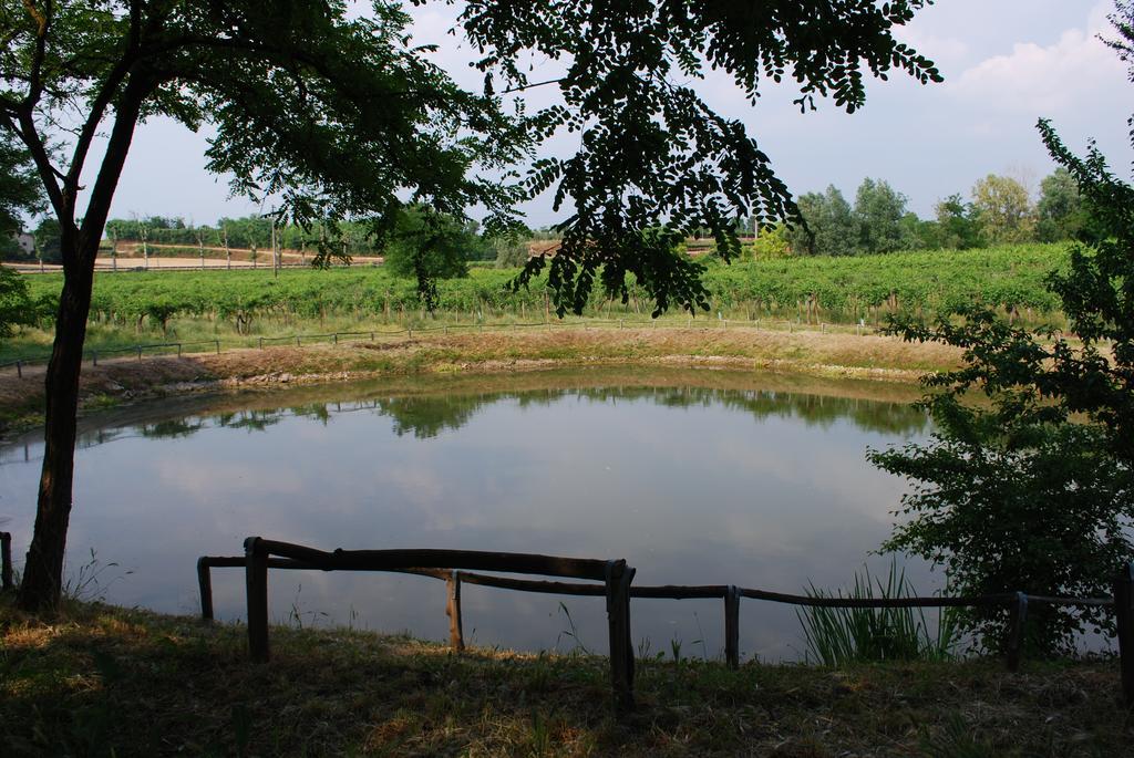 Agriturismo Ca' Vecia Vila Castelnuovo del Garda Exterior foto